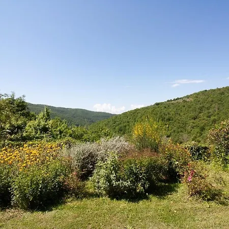 Romantic Stone With Private Terrace In Beautiful Tuscany *