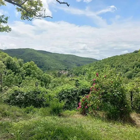 Apartment Alloro, Accogliente Monolocale A Val Di Nima, Arezzo *
